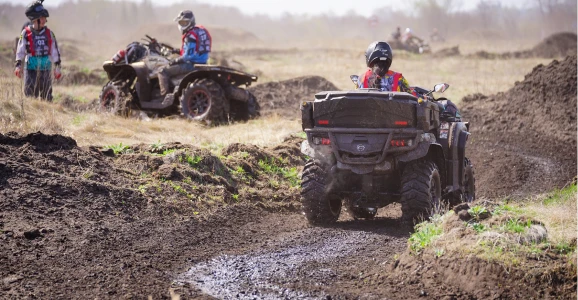 Фестивали 2025