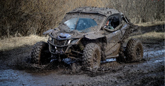 Фестивали 2025