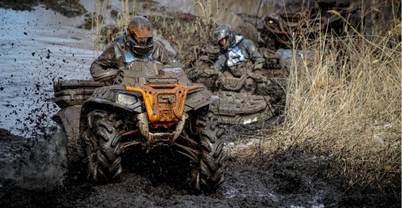 Фестивали 2025