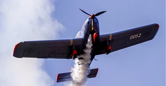 Фестивали 2025