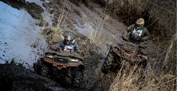 Фестивали 2025